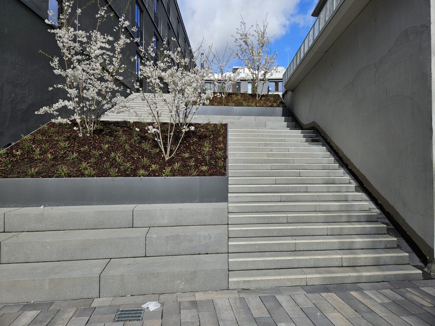 Außentreppe mit Stützmauer und Begrünung – SAAN GmbH Bochum